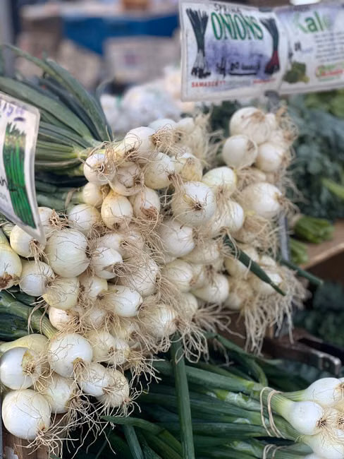 Cebola Nacional (kg)
